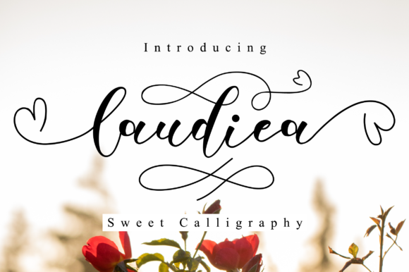 Discover the Elegance of Laudiea Script: A Versatile Font for Modern Design